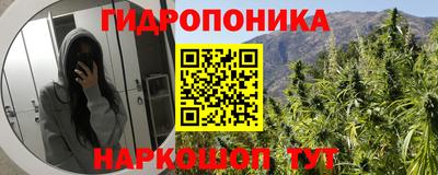 крисы Волжский