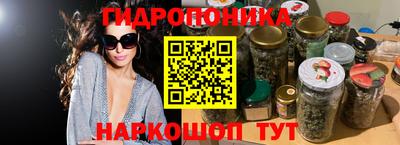 крисы Волжский