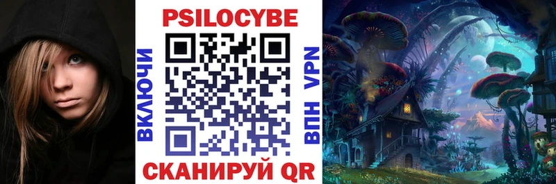 Псилоцибиновые грибы Cubensis  Выборг 