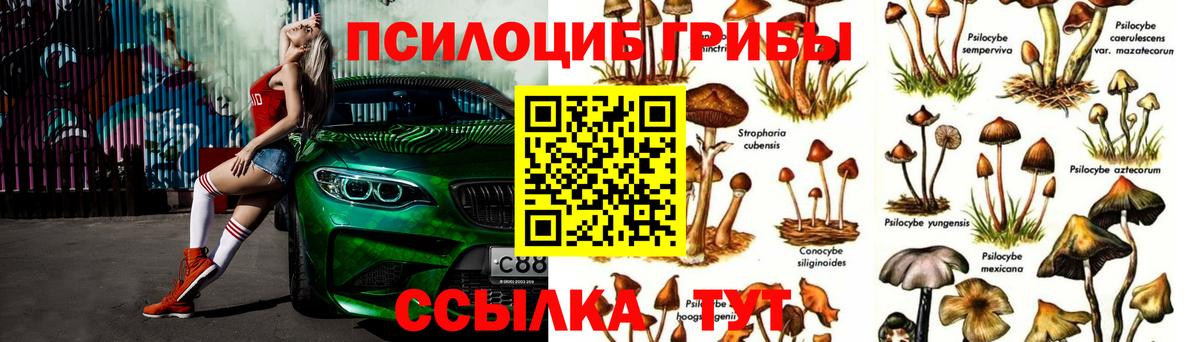 Галлюциногенные грибы GOLDEN TEACHER Выборг