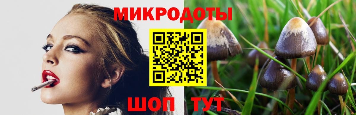 Выборг  где найти   Вход с VPN  Галлюциногенные грибы GOLDEN TEACHER 