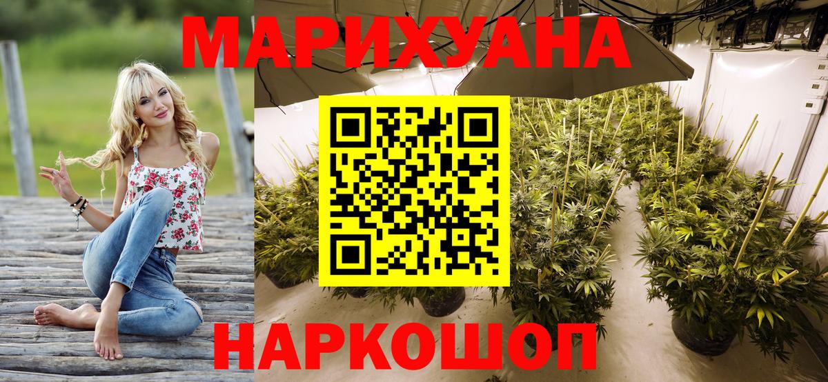 Конопля план  МАРИХУАНА White Widow  Выборг  МАРИХУАНА AK-47 